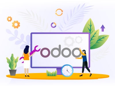 Odoo Support